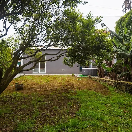 Bicycle - Al Nyaraló